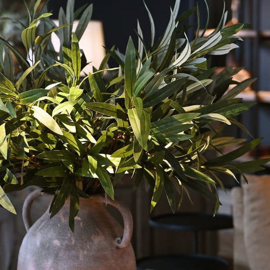 Olive Branch with Leaves