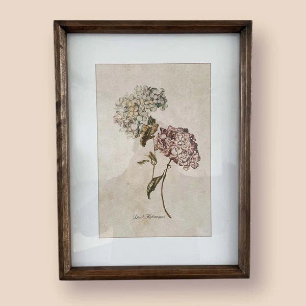 Biggie Best Hydrangea Wall Art (C)