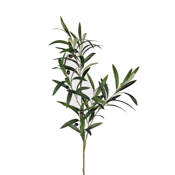 Olive Branch with Leaves
