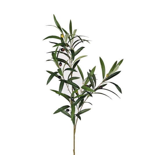 Olive Branch with Leaves
