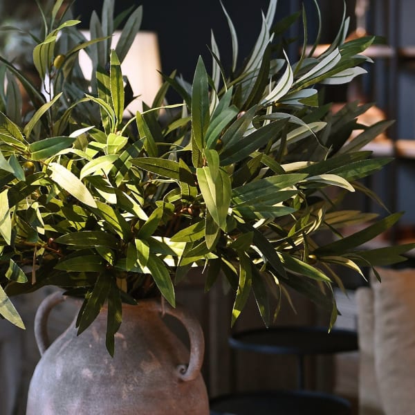Olive Branch with Leaves