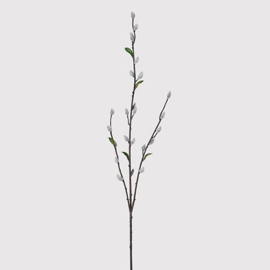 Grey Pussy Willow Stem with Leaves