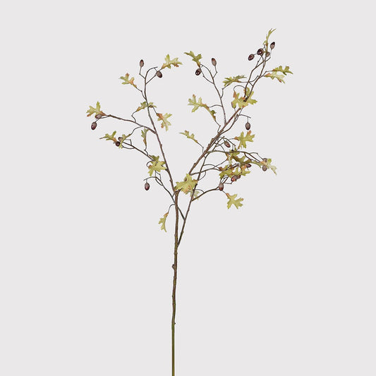 Oak Leaves with Acorn Stem